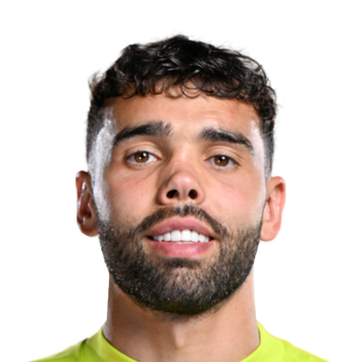 Player image