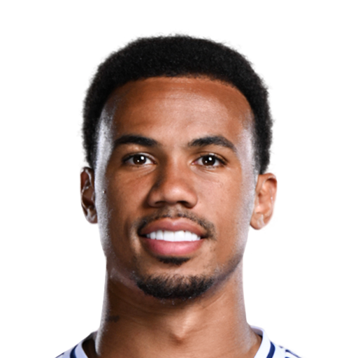 Player image