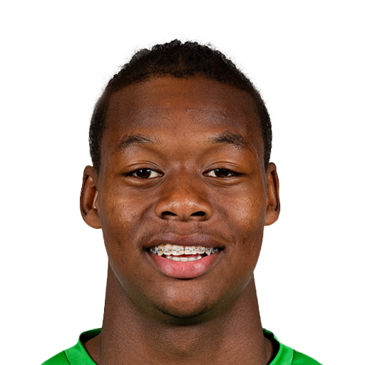 FC 25 Tijjani Noslin Face