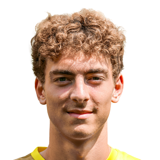 FC 25 Mathias Delorge Face