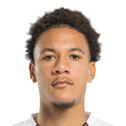 FC 25 Joel Schingtienne Face