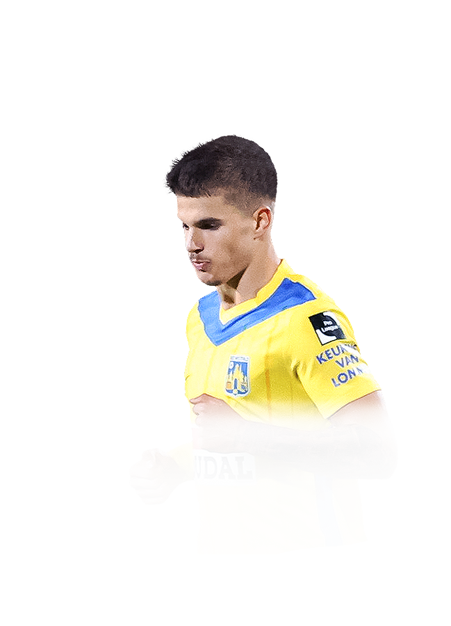 FC 25 Vuskovic Face